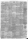 Southern Weekly News Saturday 10 March 1877 Page 3