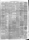 Southern Weekly News Saturday 17 March 1877 Page 3