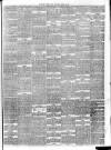 Southern Weekly News Saturday 17 March 1877 Page 7