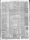 Southern Weekly News Saturday 14 April 1877 Page 3