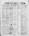 Southern Weekly News Saturday 05 January 1878 Page 1
