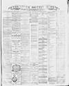 Southern Weekly News Saturday 12 January 1878 Page 1
