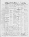 Southern Weekly News Saturday 19 January 1878 Page 1