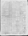 Southern Weekly News Saturday 09 February 1878 Page 3