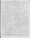 Southern Weekly News Saturday 16 February 1878 Page 7