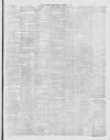 Southern Weekly News Saturday 23 February 1878 Page 5