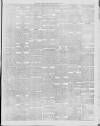 Southern Weekly News Saturday 30 March 1878 Page 5