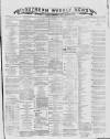 Southern Weekly News Saturday 07 December 1878 Page 1