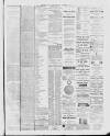 Southern Weekly News Saturday 21 December 1878 Page 11