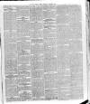 Southern Weekly News Saturday 02 March 1889 Page 3