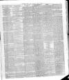 Southern Weekly News Saturday 13 April 1889 Page 5