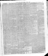 Southern Weekly News Saturday 13 April 1889 Page 7