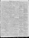 Southern Weekly News Saturday 18 February 1893 Page 7