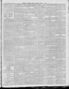 Southern Weekly News Saturday 04 March 1893 Page 4