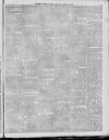 Southern Weekly News Saturday 25 March 1893 Page 3