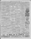 Southern Weekly News Saturday 04 November 1893 Page 11