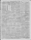 Southern Weekly News Saturday 04 November 1893 Page 13