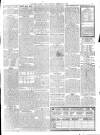 Southern Weekly News Saturday 04 February 1899 Page 15