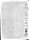 Southern Weekly News Saturday 04 March 1899 Page 12