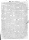 Southern Weekly News Saturday 04 March 1899 Page 14