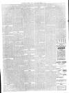 Southern Weekly News Saturday 11 March 1899 Page 11