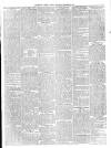 Southern Weekly News Saturday 18 March 1899 Page 7