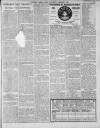 Southern Weekly News Saturday 05 February 1910 Page 15
