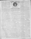 Southern Weekly News Saturday 30 April 1910 Page 11