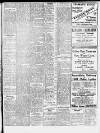 Holyhead Mail and Anglesey Herald Friday 05 August 1921 Page 5
