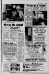 Llanelli Star Friday 11 April 1986 Page 25
