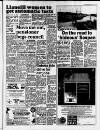 Llanelli Star Friday 13 February 1987 Page 3