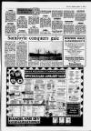 Llanelli Star Thursday 11 January 1990 Page 19