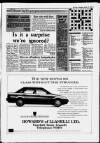 Llanelli Star Thursday 29 March 1990 Page 13