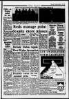 Llanelli Star Thursday 07 March 1991 Page 47