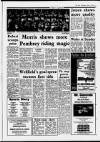 Llanelli Star Thursday 04 April 1991 Page 43