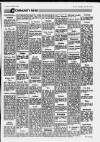 Llanelli Star Thursday 20 June 1991 Page 23
