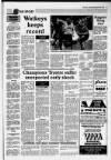 Llanelli Star Thursday 10 September 1992 Page 47