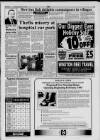 Llanelli Star Thursday 21 January 1993 Page 13