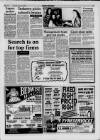 Llanelli Star Thursday 28 January 1993 Page 15