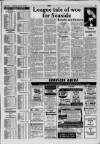 Llanelli Star Thursday 28 January 1993 Page 53