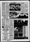 Llanelli Star Thursday 01 July 1993 Page 17