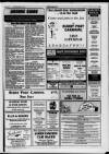 Llanelli Star Thursday 01 July 1993 Page 35
