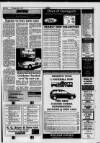 Llanelli Star Thursday 01 July 1993 Page 43