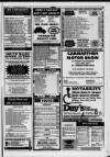 Llanelli Star Thursday 01 July 1993 Page 45