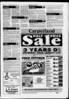 Llanelli Star Thursday 13 January 1994 Page 19
