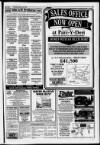 Llanelli Star Thursday 20 January 1994 Page 35