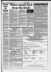 Llanelli Star Thursday 10 February 1994 Page 55