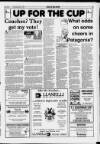Llanelli Star Thursday 05 May 1994 Page 25