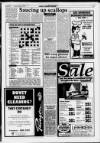 Llanelli Star Thursday 07 July 1994 Page 19