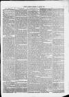 Isle of Thanet Gazette Saturday 02 January 1875 Page 3